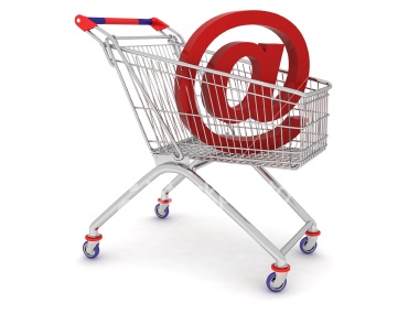 Castor Shopping cart PHP Script